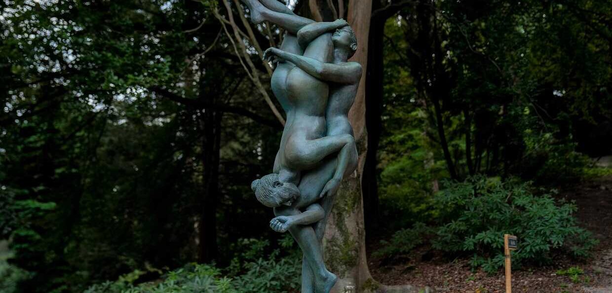 LLee_Slider-7-1240x594